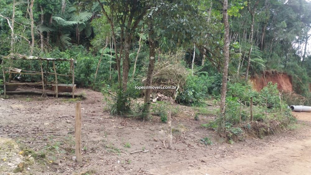Terreno venda Pirucaia - Referência T12490
