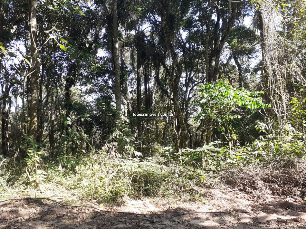 Terreno venda Roseira - Referência T452315